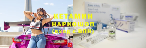 трава Ессентукская