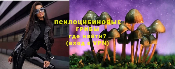 сатива Санкт-Петербург