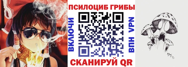 Псилоцибиновые грибы мицелий  Купить закладки  Джанкой 